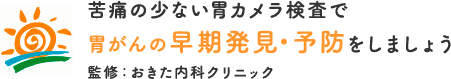 おきた内科クリニック（胃カメラLP）